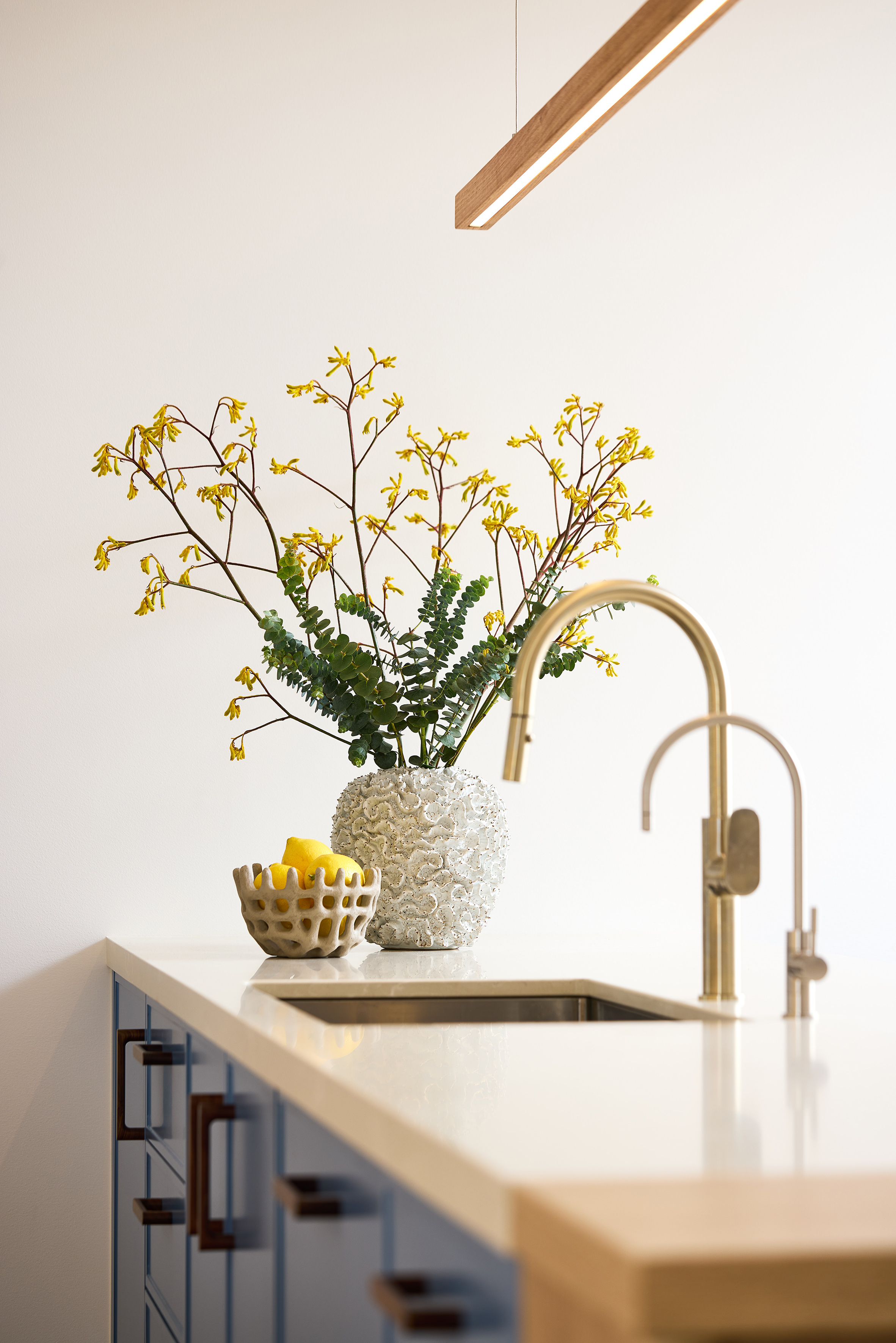 North Sydney residence kitchen detail